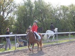 2010 Sommerturnering